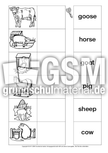 AB-animals-Zuordnung 2.pdf